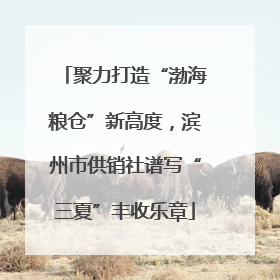 聚力打造“渤海粮仓”新高度，滨州市供销社谱写“三夏”丰收乐章